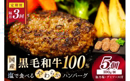 <定期便・隔月3回>塩で食べるやわらかハンバーグ（デミグラスソース付）
