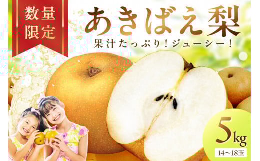 【先行予約／数量限定200】京丹後産 あきばえ梨 5kg（14～18玉）（2026年8月中旬～発送）