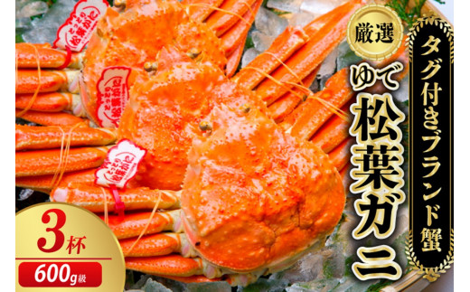 【先行予約】【厳選！タグ付きブランド蟹】茹で松葉かに（600g級×3杯）（2026年1月～発送）