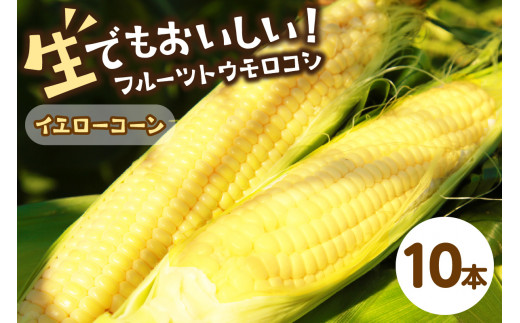 【先行予約】 生食も！高糖度！もぎたて！ フルーツトウモロコシ「イエローコーン」（2026年6月下旬～発送）