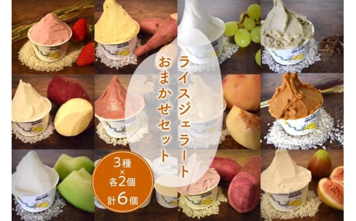 京丹後のフルーツを使用したライスジェラートおまかせセット 3種×2個（季節のフルーツはおまかせ）