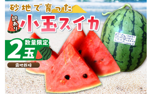 【先行予約／数量限定200】にしまるスイカ 訳あり 2玉入り（露地栽培）（2026年7月中旬から発送）　FR00015