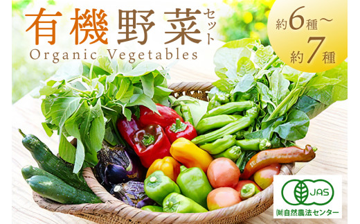 ＜てんとうむしばたけ＞オーガニック野菜セット　有機野菜6～7種(2人用)