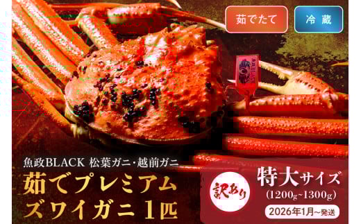 訳あり　【蟹の匠 魚政】茹で　プレミアムズワイガニ 魚政BLACK（松葉ガニ・越前ガニ） 特大サイズ（1200～1300g） 1匹 (2026年1月～発送)