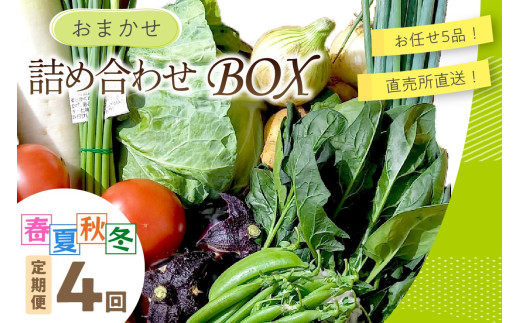 直売所直送 「京都・京丹後産 季節の野菜」お任せ詰め合わせBOX（5品） 春夏秋冬定期便4回