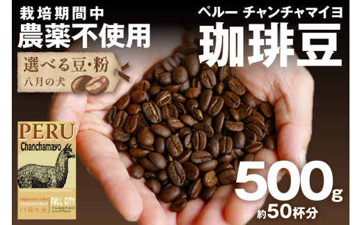 【栽培期間中農薬不使用】自家焙煎コーヒー豆 ペルー チャンチャマイヨ 500g（250g×2）　約50杯分　小分け　豆・粉 選べる