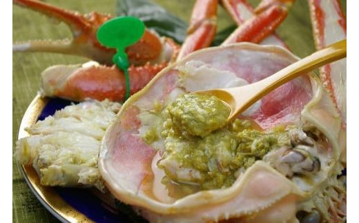 京䞹åŸåžç£ è¹ã§é人è¹ãå³éžãäžå€§ãµã€ãºtaizakani800ãé人ãã« é人ã¬ã éäººè¹ ããããã« ãããã¬ã