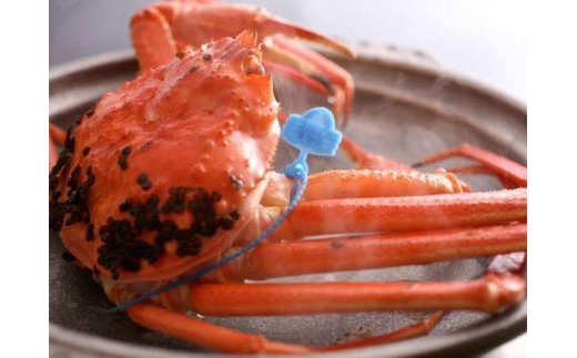 【厳選！！タグ付きブランド】茹で松葉かに 鮮度抜群、釜茹でにてお届け！！ 800g級×2杯