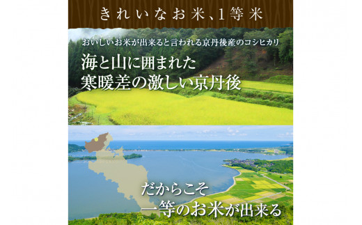 令和7年産　丹後こしひかり 10kg(5kg×2) 1等米
