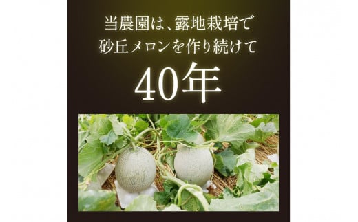 【先行予約／数量限定450】京丹後産 砂丘メロン 大玉2L以上 2玉（2026年7月下旬～発送）