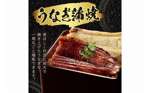 うなぎの食べ比べセット2~3人前【蒲焼き・白焼きそれぞれ1/2尾】全部で1尾