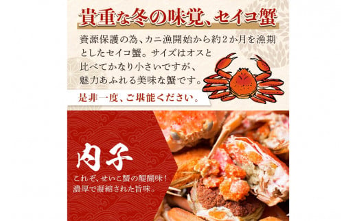 【期間エリア限定！訳あり】厳選！絶品！ 釜茹で セイコ蟹3杯 魚介 魚貝類 訳あり せいこがに ズワイガニ 濃厚 ふるさと納税 カニ わけあり 訳有り ワケアリ