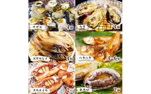 【先行予約】大満足！京丹後・海鮮BBQ　Dセット　贅沢アワビ付　6種22品（4～5人前）（2026年4月中旬～発送）