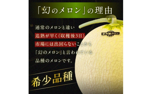 【先行予約／数量限定200】幻のメロン 新芳露 2玉（2026年7月中旬～発送）