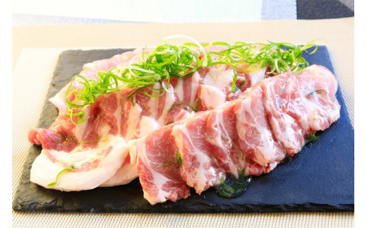 繝医Φ窶冱繧ュ繝繝√Φ 荳ケ蠕後ョ蝪ゥ縺繧瑚ア夂┥縺崎i