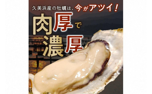 京都・久美浜産　殻付き牡蠣　4kg（40個前後）【加熱用】牡蠣ナイフ付　人気 国産 正規品 大粒 肉厚 養殖牡蠣 牡蠣 牡蛎 かき 海鮮 貝 海のミルク 殻付き