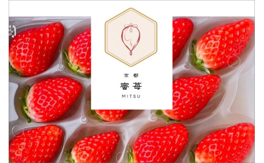 【先行予約】2026年産 京都 蜜いちご（あきひめ）（大サイズ（9粒または11粒）×2パック）約450g（2026年1月上旬～発送）