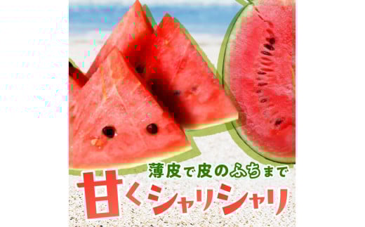 ãå
è¡äºçŽïŒæ°ééå®100ãã«ããŸãã¹ã€ã« ç§å 2çå
¥ãïŒããŠã¹æ œå¹ïŒïŒ2026幎6æäžæ¬ããçºéïŒ