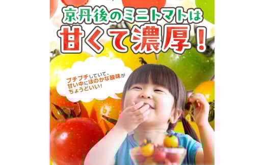 【先行予約】訳あり 宝石のような輝き！カラフルミニトマト 約1.5kg（春夏）（2026年5月下旬～発送）