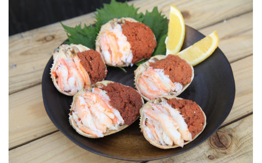 セイコガニ甲羅盛Sサイズ　5個セット