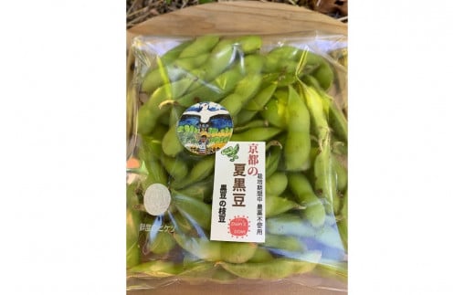 【数量限定】京都夏黒枝豆さや 1kg（250g×4パック）（2027年7月中旬～発送） 野菜 豆類 黒豆 黒枝豆 晩酌 おつまみ おかず 京都 ふるさと納税 枝豆
