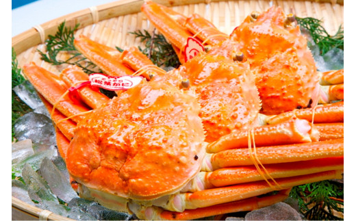 【先行予約】【厳選！タグ付きブランド蟹】茹で松葉かに（600g級×2杯）（2026年1月～発送）
