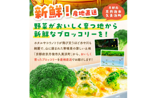 【先行予約】もりもり！ブロッコリー 約2kg（2026年11月上旬～発送）