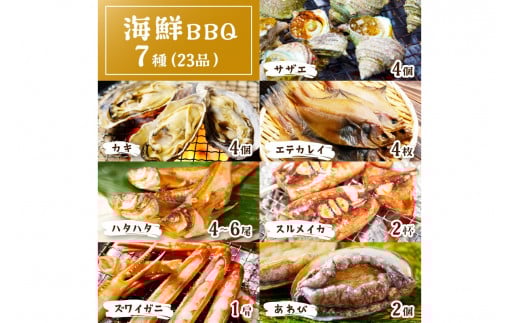 【先行予約】大満足！京丹後・海鮮BBQ　Fセット　豪華盛り合わせ　生ズワイガニ　アワビ付　7種23品（4～5人前）（2026年4月中旬～発送）