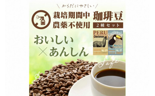 【栽培期間中農薬不使用】自家焙煎コーヒー豆 飲み比べセット（500g×2種）約100杯分 八月の犬 珈琲豆 ドリップ　HA00018