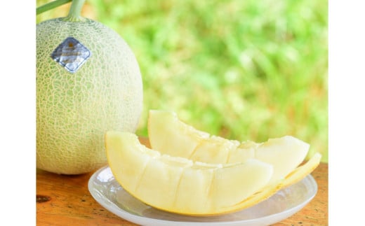 【先行予約】 年間生産量200玉の最上級メロン「新芳露-幻-」（2026年7月下旬～発送）