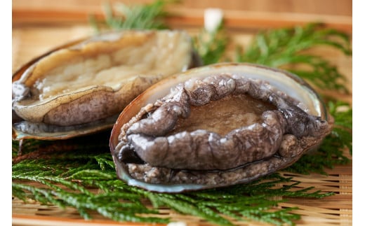 やわらか！絶品！アワビ酒蒸し 小サイズ5枚入り