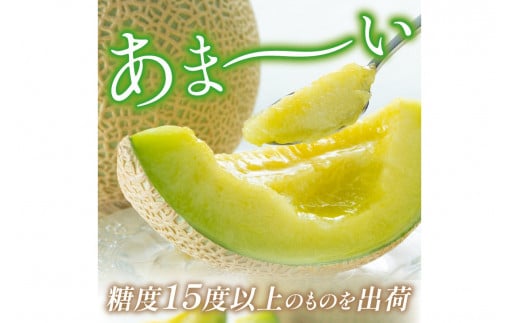 【先行予約／数量限定150】砂姫メロン1玉！大玉2L以上！女性に人気！（2026年6月下旬～発送）
