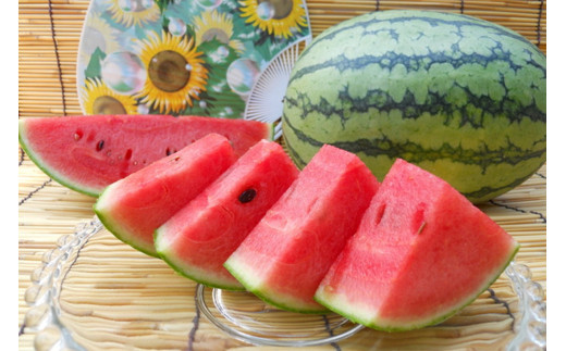 【先行予約】朝どれ小玉スイカ／みんな大好き！甘～ぃ！シャリ美味！！京丹後産 小玉スイカ！！2玉（ひとりじめ、姫甘泉、ひめまくら、砂丘たまごから1種類）（2026年7月上旬～発送）スイカ2玉