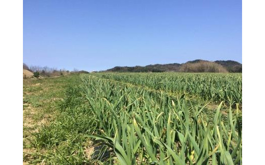 螳牙ソ螳牙ィ縺ェ辭滓宣サ偵↓繧薙↓縺1陲具シ200スシ