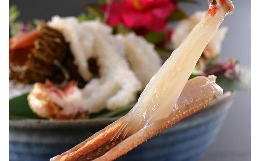 かに卸し問屋がお届け・浜競り厳選！幻の活間人ガニ 800ｇ～900ｇ 大サイズ（1月～3月発送）／北畿水産