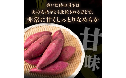 【食べ比べ】紅白 きみまろこと紅はるかのさつまいもセット 3kg 2027年2月中旬～配送　紅はるか きみまろこ 食べ比べ 品種 お野菜 野菜 正規品 ふるさと納税 さつまいも ふるさと納税 紅はるか べにはるか 甘い