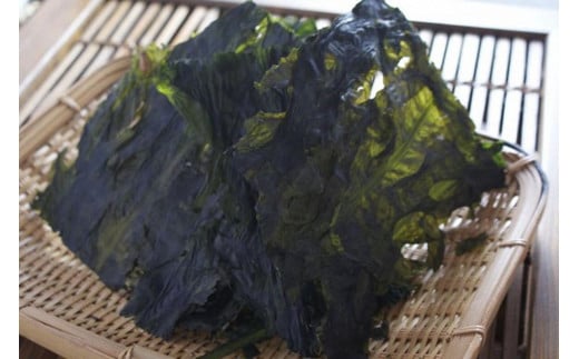 お土産人気商品！京丹後産 天然間人わかめ 20g×5袋