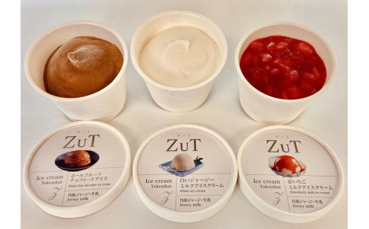 ZuT溶けにくいアイス (90ml×3種×4個)