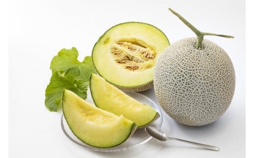 【先行予約】みんな大好き甘～ぃ！京丹後砂丘めろん！ 2玉（2026年7月下旬～発送）　YK00530