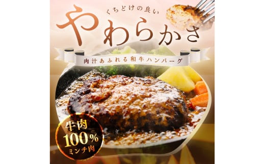 <定期便・隔月3回>塩で食べるやわらかハンバーグ（デミグラスソース付）