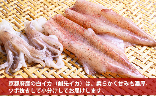 【先行予約】BBQに最適！ 白イカ（ケンサキイカ） 調理済み 正味1.5kg入り（6～12匹） ※小分け真空包装 海鮮 魚介 烏賊 調理済み バーベキュー 壺焼き 小分け 冷凍 ふるさと納税 イカ ふるさと納税 海鮮BBQ