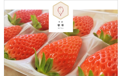 【先行予約】2026年産 京都 蜜いちご（あきひめ）（大サイズ（6粒または8粒）×2パック）約450g（2026年1月上旬～発送）