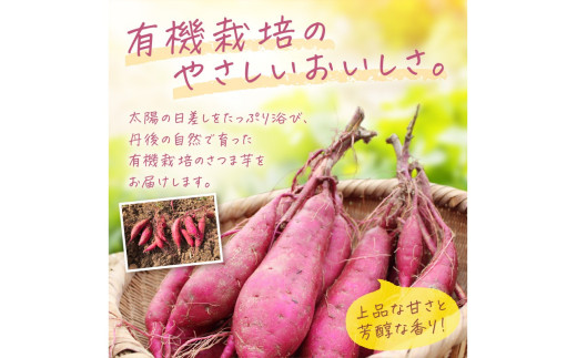 ＜てんとうむしばたけ＞有機さつまいも(紅はるか)5kg　有機野菜 さつま芋 サツマイモ 薩摩芋 ふるさと納税 野菜 イモ 期間限定 紅はるか 甘い 貯蔵 熟成 オーガニック ねっとり あまい焼き芋 国産 ほくほく 土付き 旬 秋 京都産
