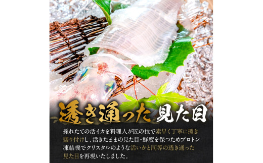 【先行予約】京丹後産　『海の京都』の逸品！！　活白イカ姿造り（クリスタル白いか）1人前サイズ2杯（150g前後）（2026年6月上旬～発送）