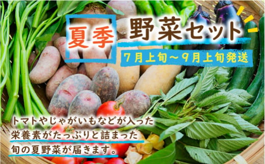 SORA農園有機野菜セット年2回（夏季・冬季）お届け 12種類前後 オーガニック野菜 詰め合わせ 栽培期間中農薬不使用 ふるさと納税 オーガニック ふるさと納税 有機野菜