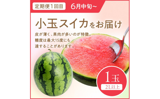 ãå
è¡äºçŽãéã®é§
ãããããããå€ã®ãã«ãŒãå®æäŸ¿ïœãããã»ã¡ãã³ïœ