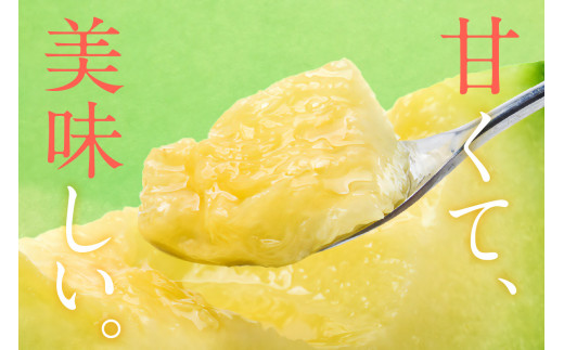 ãå
è¡äºçŽïŒæ°ééå®100ããããããã¡ãŒã ã®éèã¡ãã³ïŒèš³ããåïŒïŒ2026幎6æäžæ¬ïœçºéïŒ