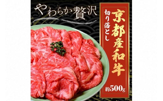 京éœç£åçãåãèœãšããçŽ500ïœãã京éœã¢ãªã¿å±å°çšç§å Žã