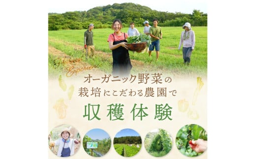 オーガニックファームでのんびり過ごそう！収穫体験&お土産付き(2名様分)