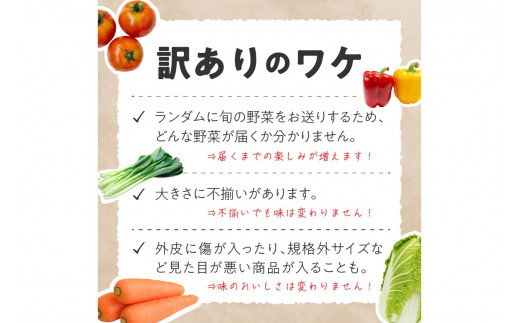 直売所直送 「京都・京丹後産 季節の野菜」お任せ詰め合わせBOX（5品） 春夏秋冬定期便4回 コシヒカリ精米 京野菜 季節 新鮮 ふるさと納税 野菜